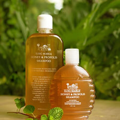 필리핀 일록마리아 Honey Propolis Shampoo - 꿀 프로폴리스 샴푸 100ml