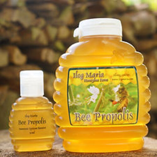 필리핀 일록마리아 Propolis Gold - 프로폴리스 골드 30ml