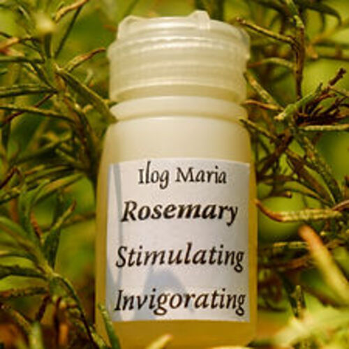 필리핀 일록마리아 Rosemary Aromatherapy Oil - 로즈마리 아로마 오일