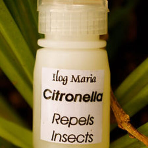 필리핀 일록마리아 Citronella Aromatherapy Oil - 시트로넬라 아로마 오일 12-13ml