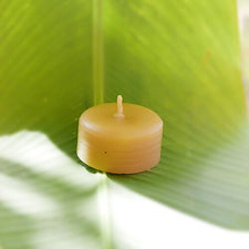필리핀 일록마리아 Beeswax Tea Light Candle - 밀랍 티라이트 캔들 20g