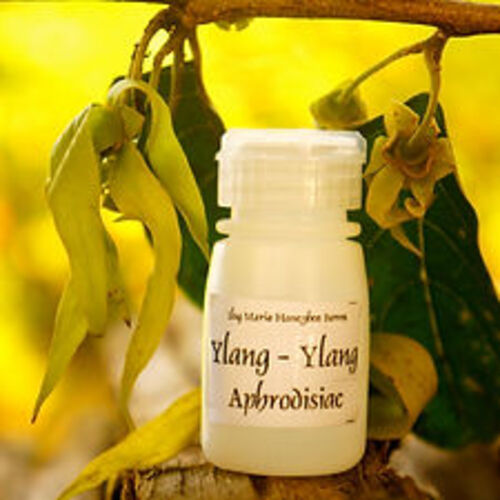 필리핀 일록마리아 Ylang-Ylang Aromatherapy Oil - 일랑일랑 아로마 오일 12-13ml