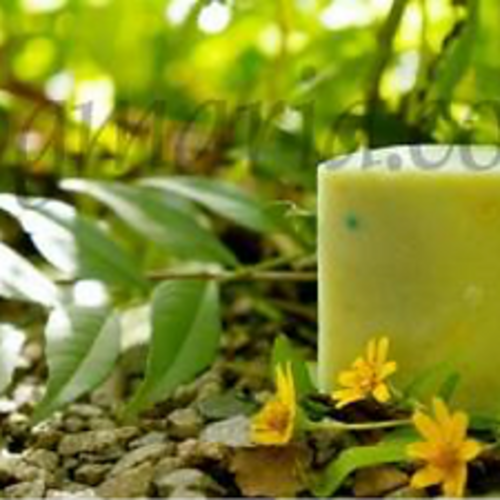 필리핀 일록마리아 Green Tea Soap - 녹차 비누