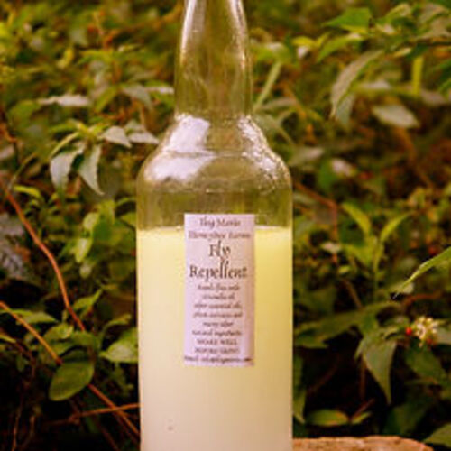 필리핀 일록마리아 Citronella Fly Repellent - 시트로넬라 파리 기피제