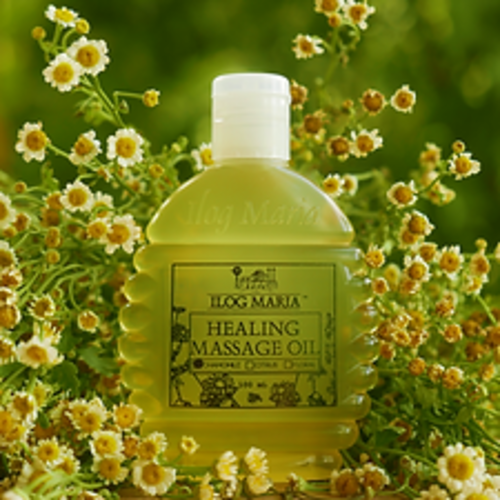 필리핀 일록마리아 Healing Massage Oil in Chamomile - 카모마일 힐링 마사지 오일