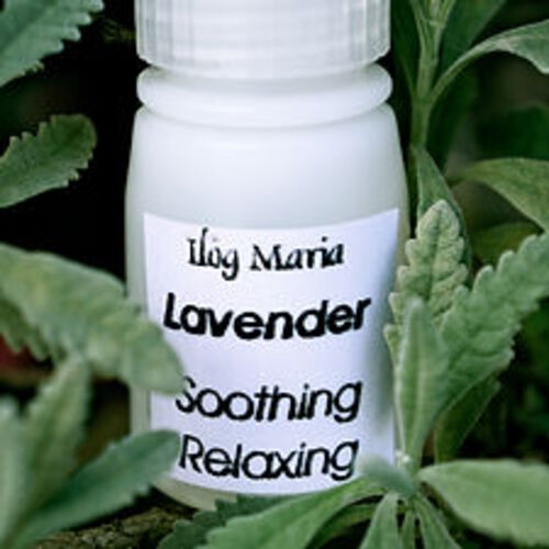 필리핀 일록마리아 Lavender Aromatherapy Oil - 라벤더 아로마 오일