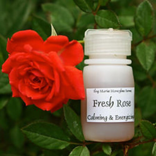 필리핀 일록마리아 Fresh Rose Aromatherapy Oil - 신선한 장미 아로마 오일