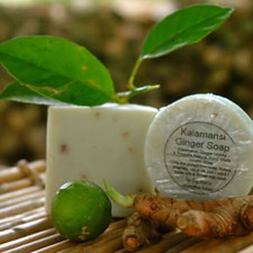 필리핀 일록마리아 Kalamansi & Ginger Soap - 칼라만시 생강 비누