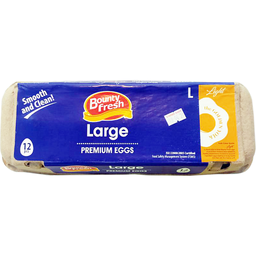 Bounty Fresh Large Premium Eggs | 12s