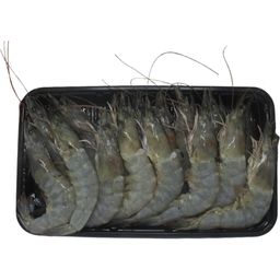 Fishta Vannamei Jumbo | kg