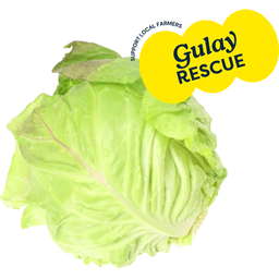 Fresh Repolyo (Cabbage) | kg