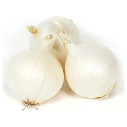 Fresh Sibuyas na Puti (White Onion) | kg