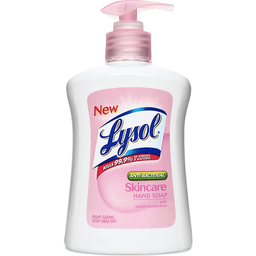 Lysol Skin Care Hand Soap | 225ml