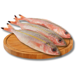 NLTs Dalagang Bukid | kg