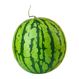 Palengke Fresh Watermelon Champion | pc
