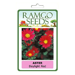 RAMGO Consumer Flower Seeds Aster Day Light Red | pack
