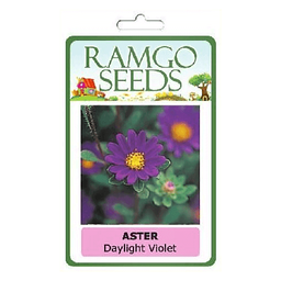 RAMGO Consumer Flower Seeds Aster Day Light Violet | pack