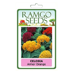 RAMGO Consumer Flower Seeds Celosia Armor Orange | pack