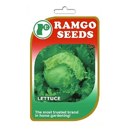 RAMGO Original Value Pocket Seeds Lettuce Iceberg | pack