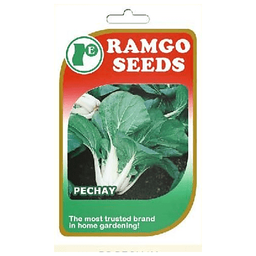RAMGO Original Value Pocket Seeds Pechay | pack