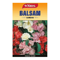 RAMGO Yate's Flower Balsam Bambino | pack