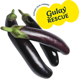 WalterMart Talong (Eggplant) | kg